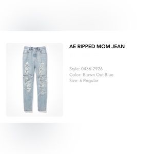 American Eagle Ripped Mom Jean
